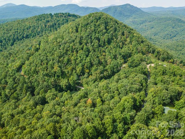 99999 Gateway Parkway, Old Fort, NC 28762