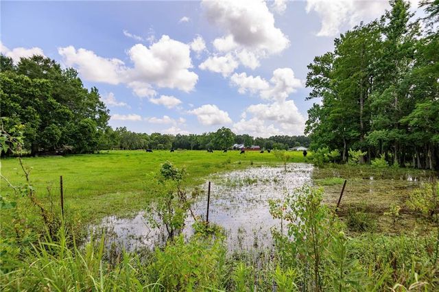14501 Mcdonald Lane, Grand Bay, AL 36541