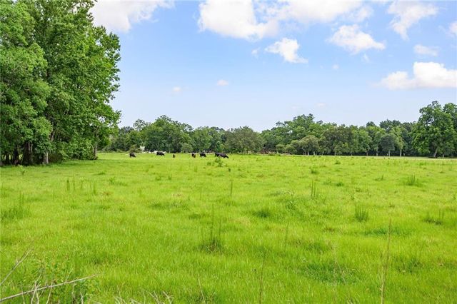 14501 Mcdonald Lane, Grand Bay, AL 36541