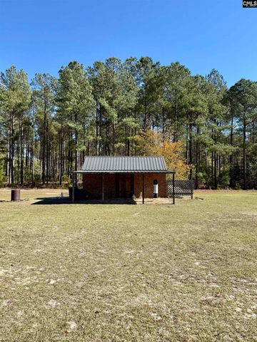 142 Sturkie Street, Cope, SC 29038