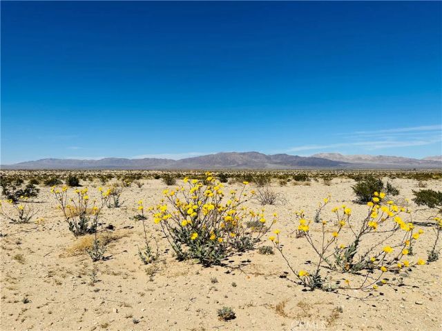 0 Near Shelton, 29 Palms, CA 92277