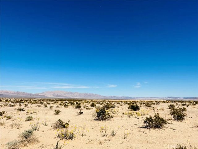 0 Near Shelton, 29 Palms, CA 92277