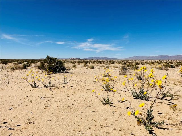 0 Near Shelton, 29 Palms, CA 92277