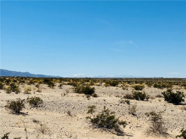0 Near Shelton, 29 Palms, CA 92277