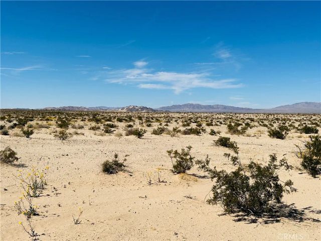 0 Near Shelton, 29 Palms, CA 92277