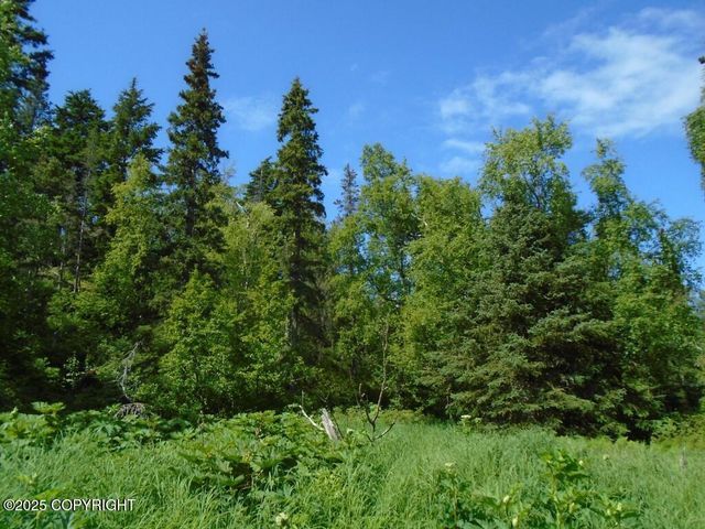 L4 Stone Ridge Road, Anchorage, AK 99516