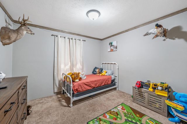 7494 N US Highway 69, Alba, TX 75410