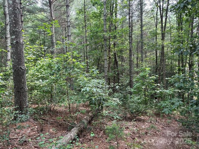 1233 Lakeside Way NW 8, Valdese, NC 28690