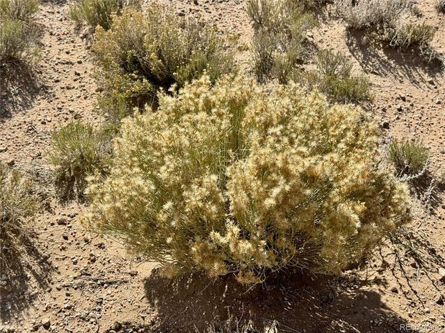 7 County X Rd, Blanca, CO 81123