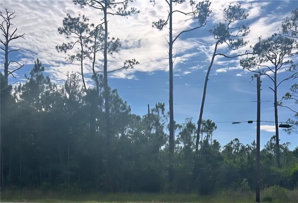 13565 Dauphin Island Parkway, Coden, AL 36523 — exterior