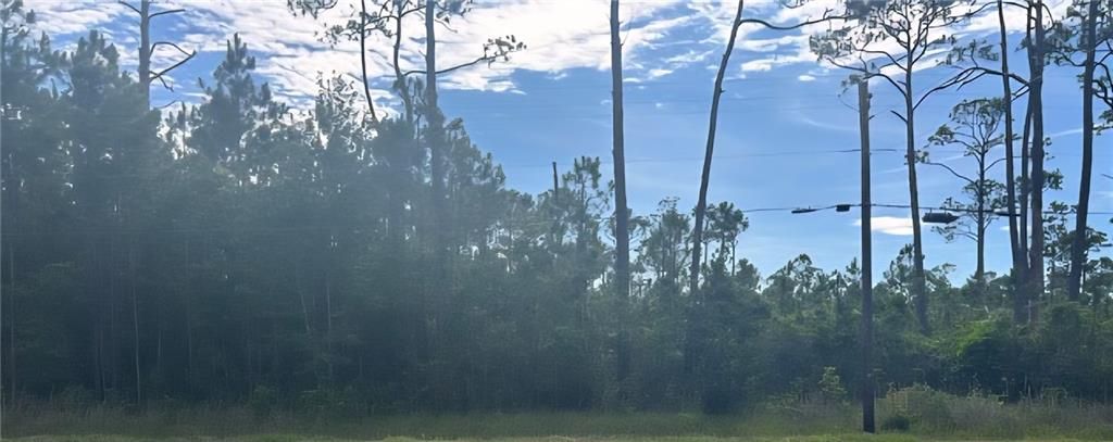 13565 Dauphin Island Parkway, Coden, AL 36523 — photo 2