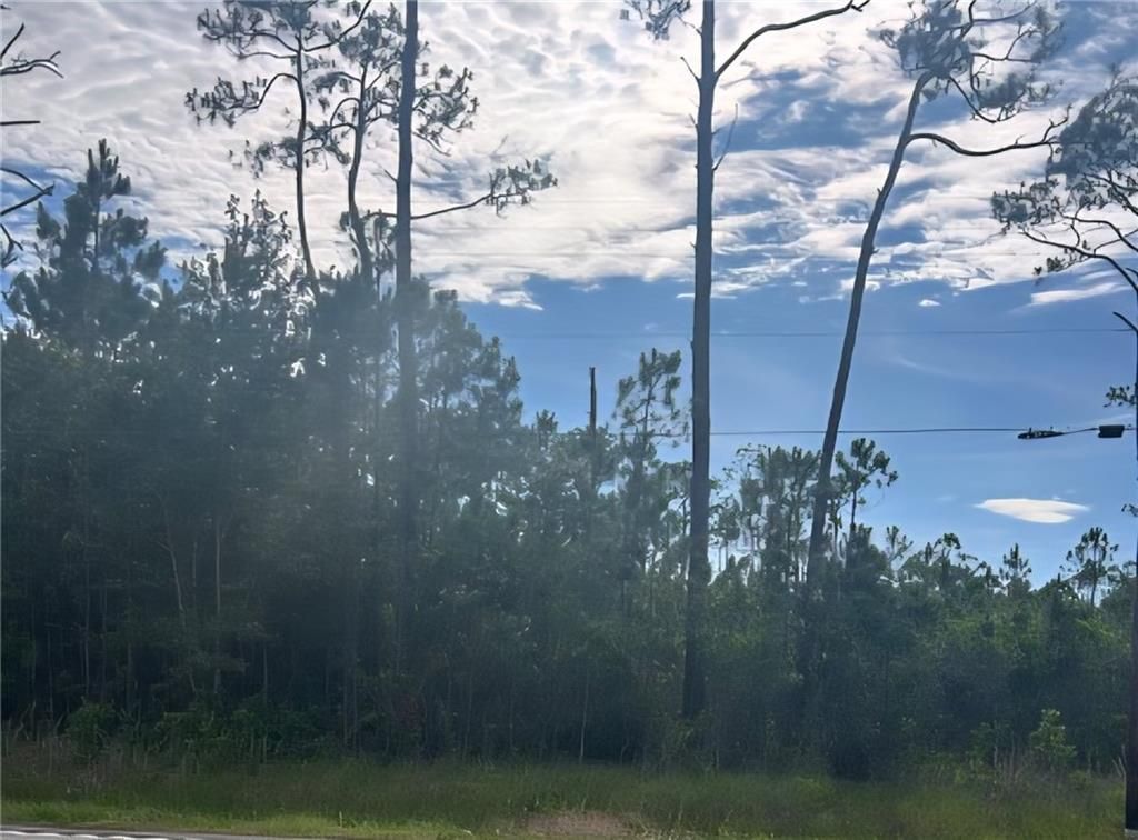 13565 Dauphin Island Parkway, Coden, AL 36523 — photo 3