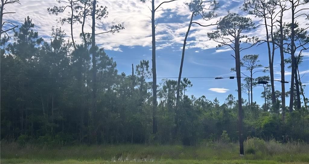 13565 Dauphin Island Parkway, Coden, AL 36523 — photo 4