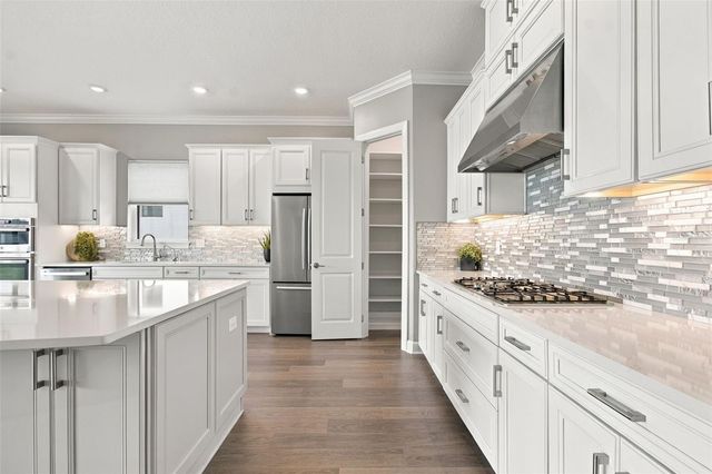 29596 TORICELLI ROAD, Wesley Chapel, FL 33543