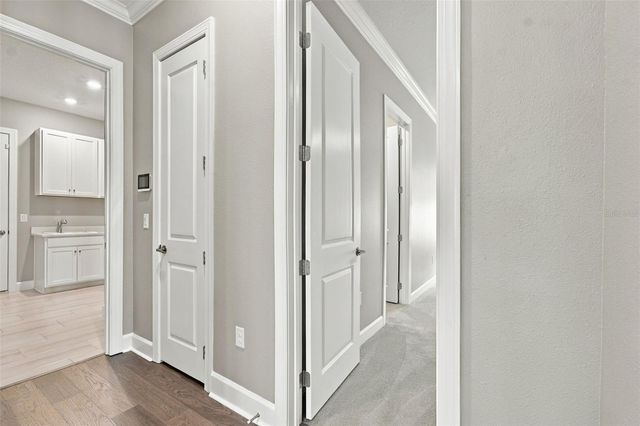 29596 TORICELLI ROAD, Wesley Chapel, FL 33543