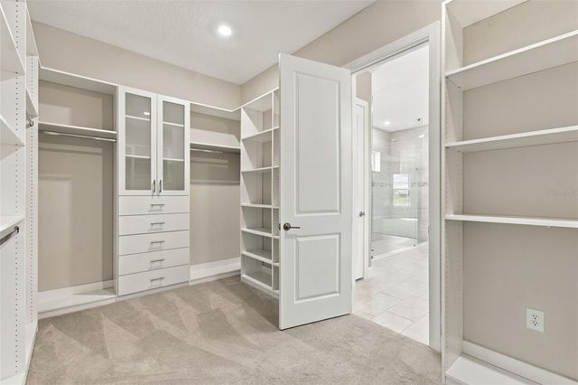 29596 TORICELLI ROAD, Wesley Chapel, FL 33543