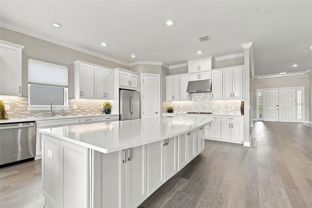 29596 TORICELLI ROAD, Wesley Chapel, FL 33543