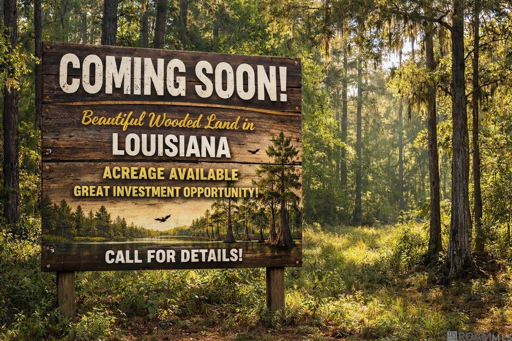 4-A-5 La Hwy 1032, Denham Springs, LA 70726