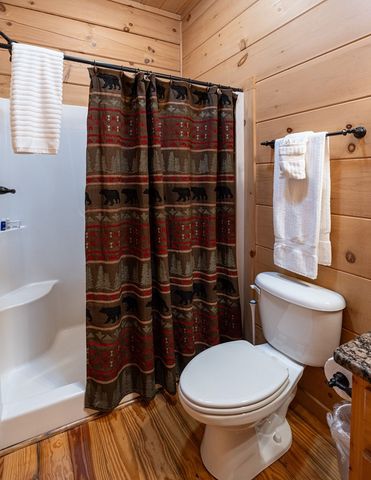 94 Bear Creek Cove, Topton, NC 28781