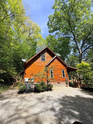 94 Bear Creek Cove, Topton, NC 28781