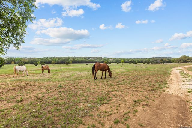 1280 stoney ridge, Bulverde, TX 78163