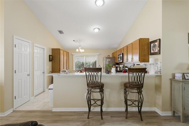1972 ASHWOOD RUN, The Villages, FL 32162