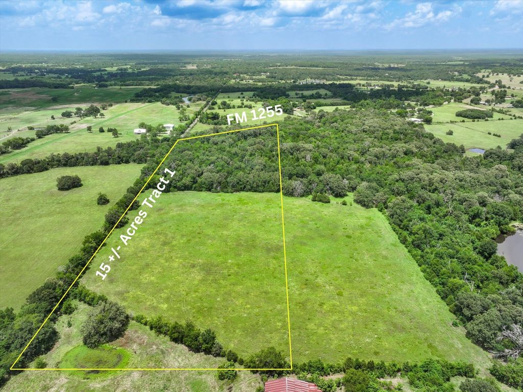 15 Acres Tract 1 FM 1255, Grand Saline, TX 75140