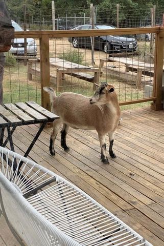 705 Lisa DR, Austin, TX 78733