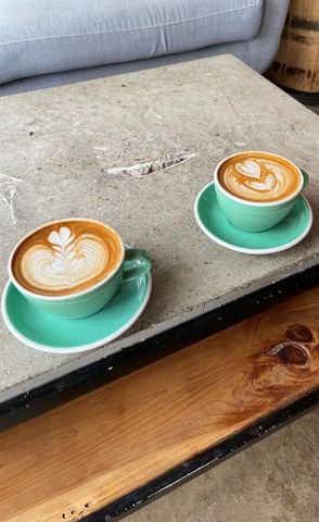 705 Lisa DR, Austin, TX 78733