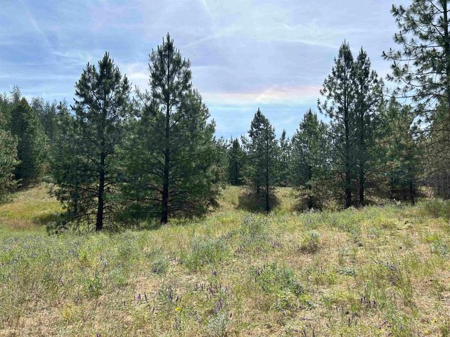 58xx Lot 2 Lower Weaver Way, Nine Mile Falls, WA 99026