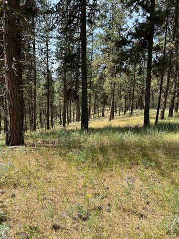 58xx Lot 2 Lower Weaver Way, Nine Mile Falls, WA 99026