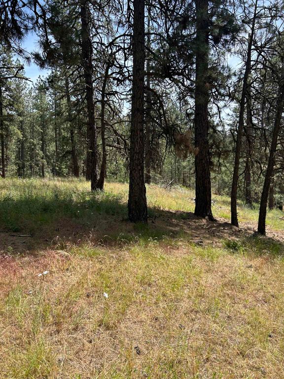 58xx Lot 2 Lower Weaver Way, Nine Mile Falls, WA 99026 photo 12