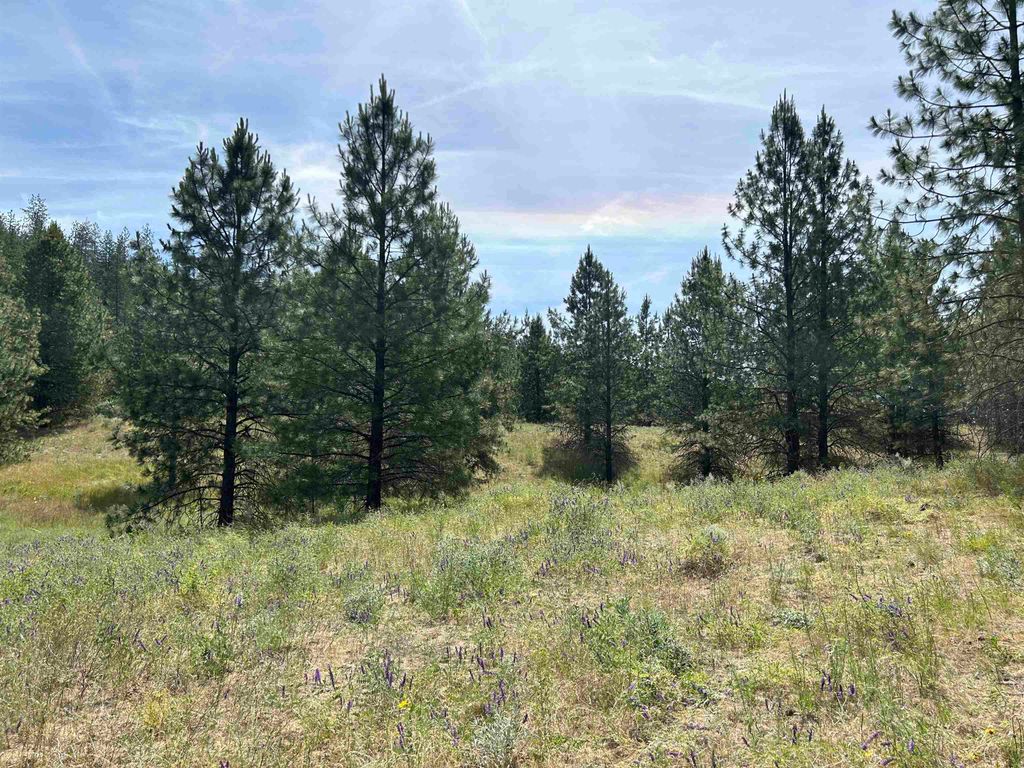 58xx Lot 2 Lower Weaver Way, Nine Mile Falls, WA 99026 photo 13