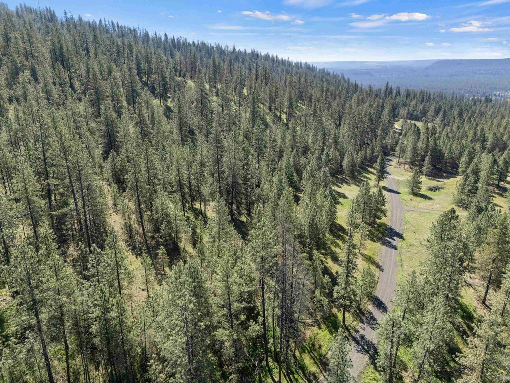 58xx Lot 2 Lower Weaver Way, Nine Mile Falls, WA 99026 photo 4