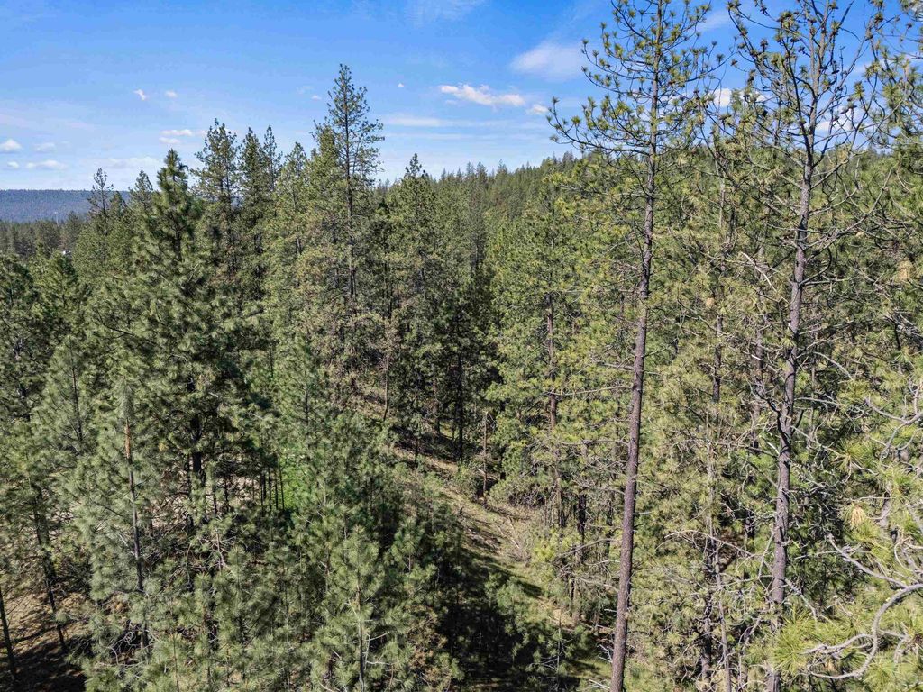 58xx Lot 2 Lower Weaver Way, Nine Mile Falls, WA 99026 photo 5