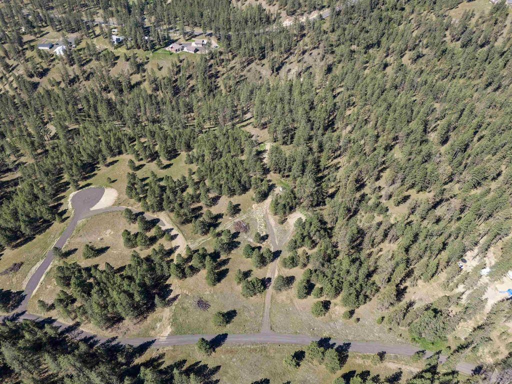 58xx Lot 2 Lower Weaver Way, Nine Mile Falls, WA 99026 photo 6