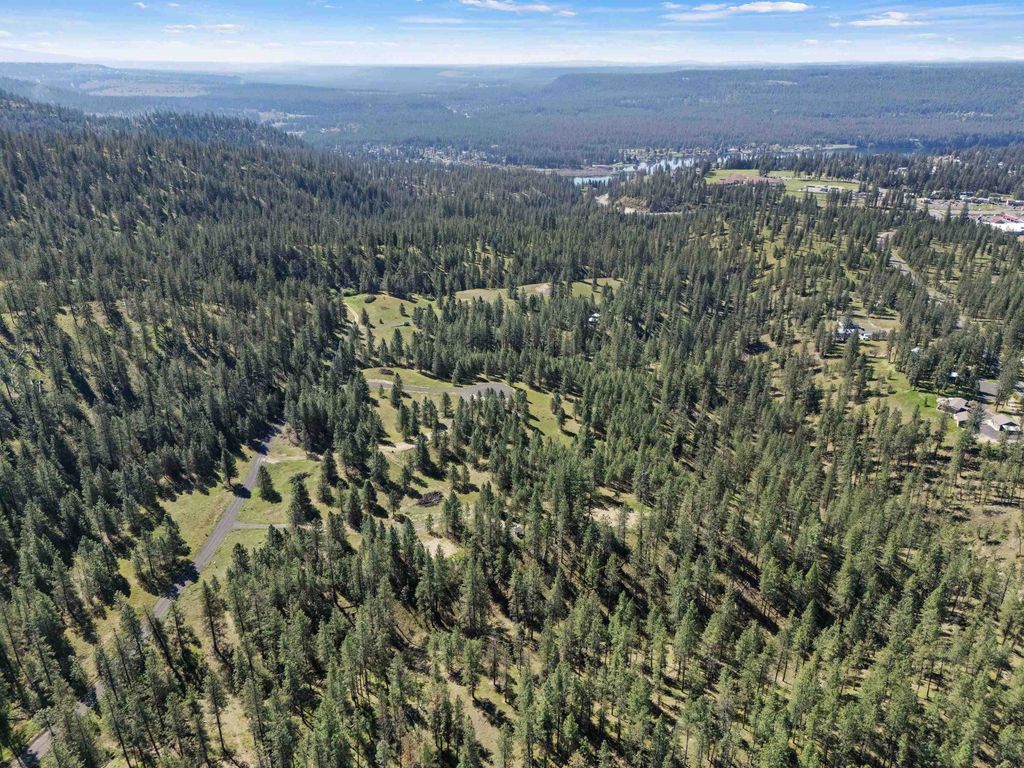 58xx Lot 2 Lower Weaver Way, Nine Mile Falls, WA 99026 photo 7
