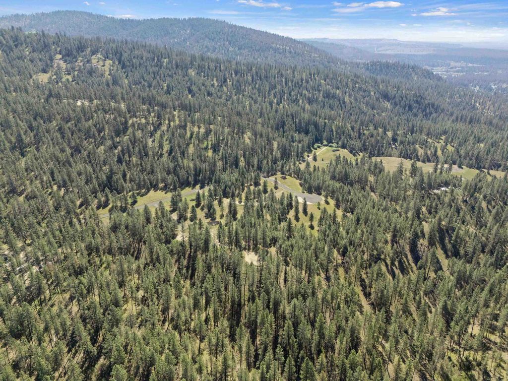 58xx Lot 2 Lower Weaver Way, Nine Mile Falls, WA 99026 photo 8