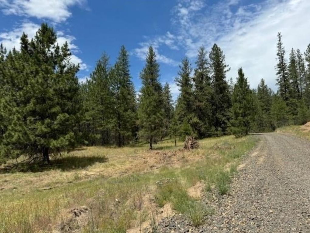 58xx Lot 2 Lower Weaver Way, Nine Mile Falls, WA 99026 photo 9