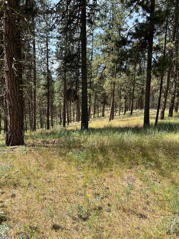 58xx Lot 2 Lower Weaver Way, Nine Mile Falls, WA 99026 photo 10