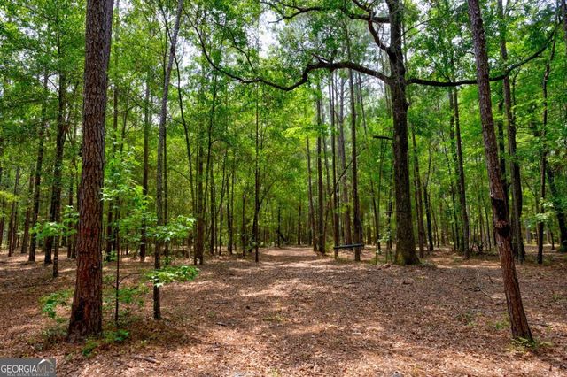 4000 Old River Road S, Brooklet, GA 30415