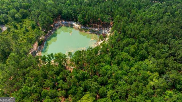 4000 Old River Road S, Brooklet, GA 30415