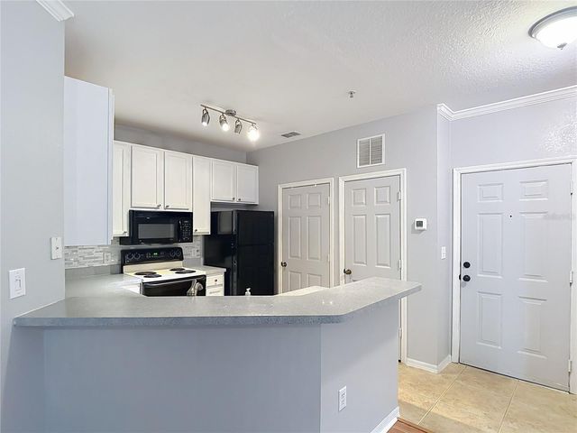 10201 COURTNEY PALMS BOULEVARD 203, Tampa, FL 33619