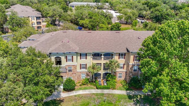 10201 COURTNEY PALMS BOULEVARD 203, Tampa, FL 33619