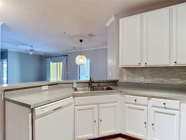 10201 COURTNEY PALMS BOULEVARD 203, Tampa, FL 33619