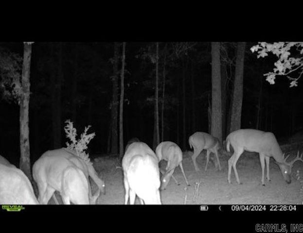 81 Wildwood Dr, Ash Flat, AR 72513