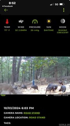 81 Wildwood Dr, Ash Flat, AR 72513