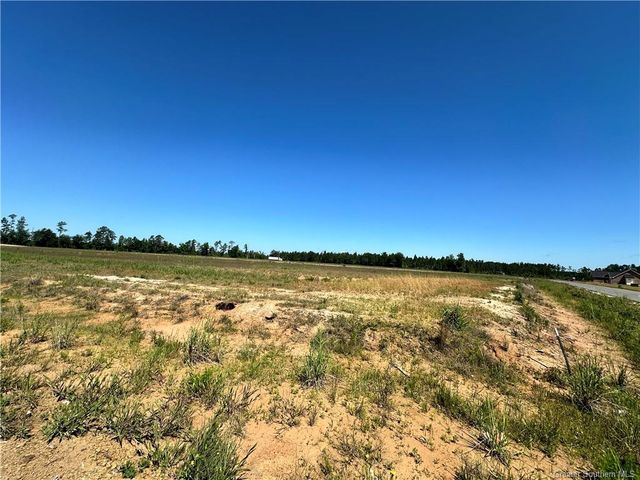 0 Canna Lily Drive, Ragley, LA 70657