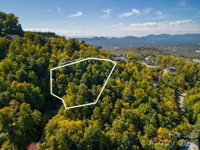 99999 Leisure Mountain Road 22, Asheville, NC 28804