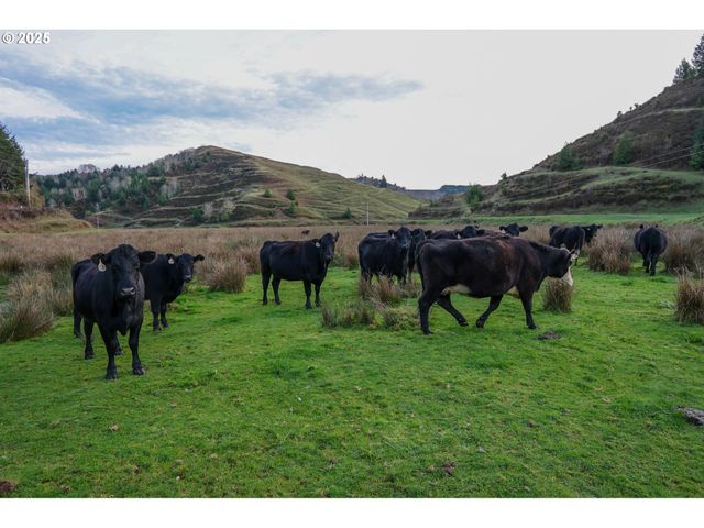 70033 LARSEN RANCH Rd, North Bend, OR 97459